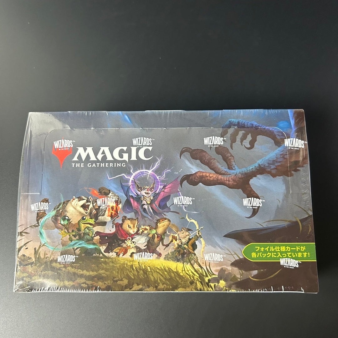 Magic: The Gathering MTG Bloomburrow Play Booster Wizards of the Coast Sealed BOX Japanese D34241400